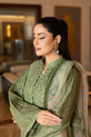 Luxury Pakistani Plus Size Dress