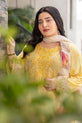 Pakistani Mehndi Dress 