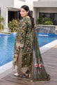 Pakistani Plus Size Dress