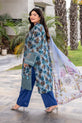 Pakistani Plus --Size Dress.,