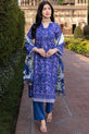Printed Pakistani Plus Size Dress